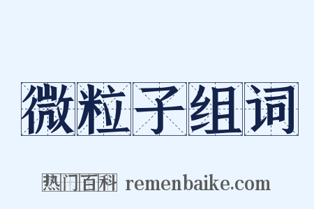 微粒子组词是什么意思的图片